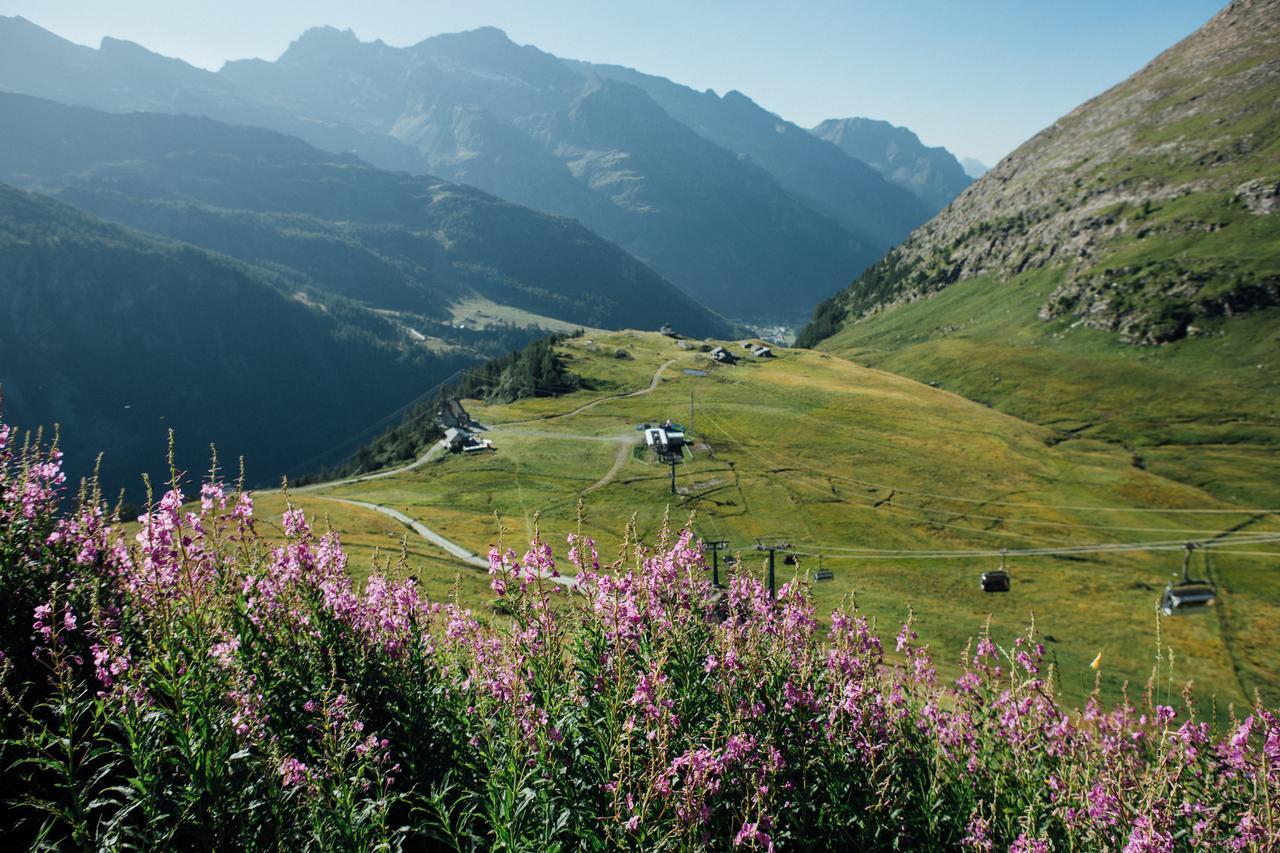Albergo Ristoro Sitten - 2300 Mt Gressoney-la-Trinité Εξωτερικό φωτογραφία